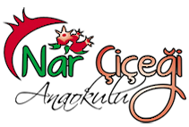 Narçiçeği Anaokulu Logo